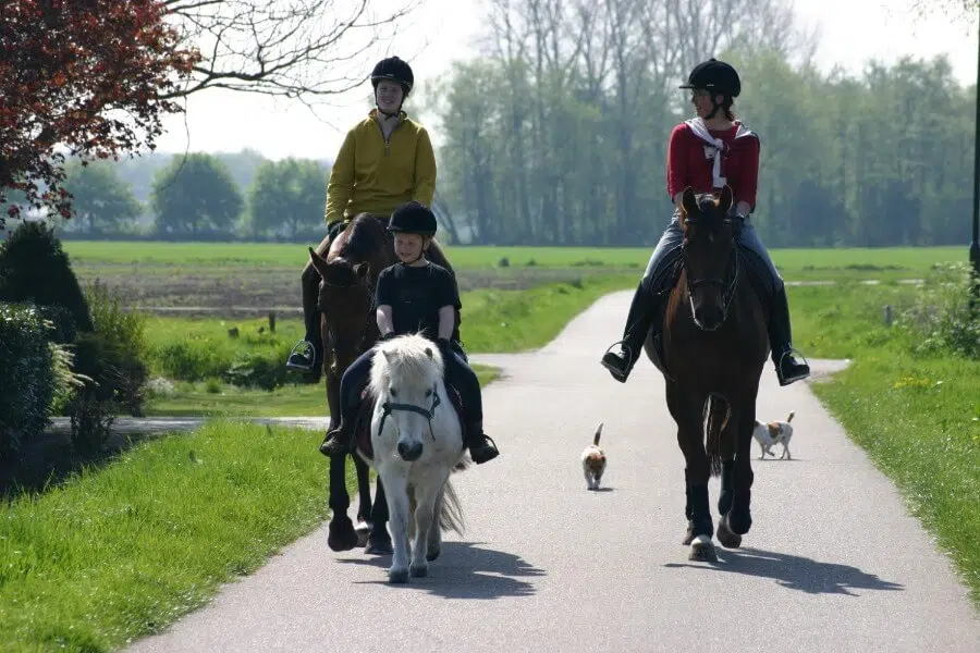 familie paarden saskia coumans