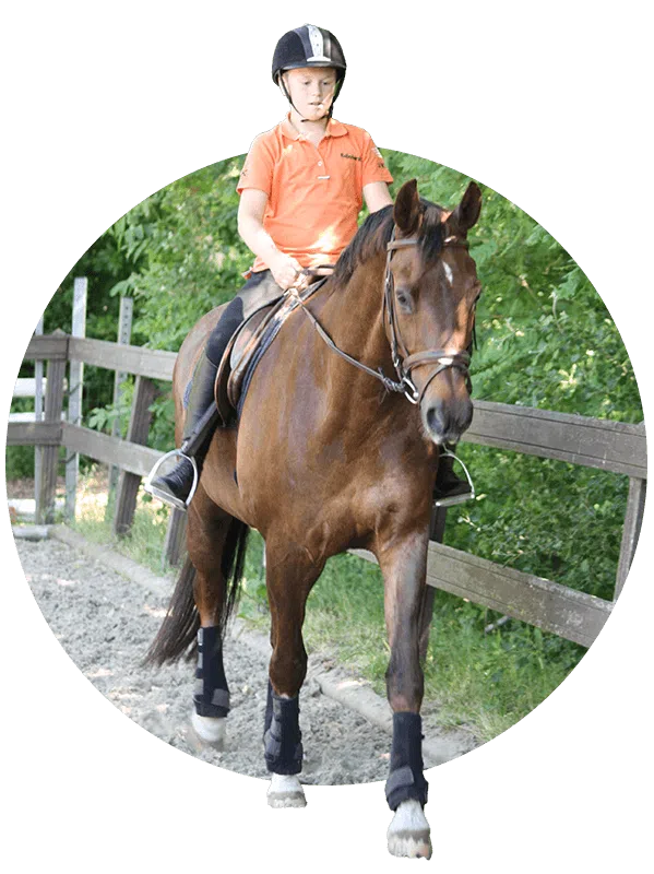 mental coach paarden angst saskia coumans