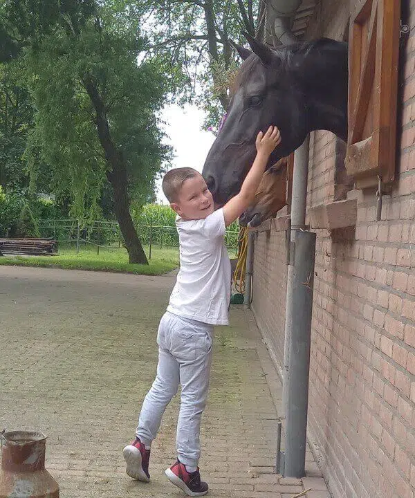 paard vriendschap saskia coumans