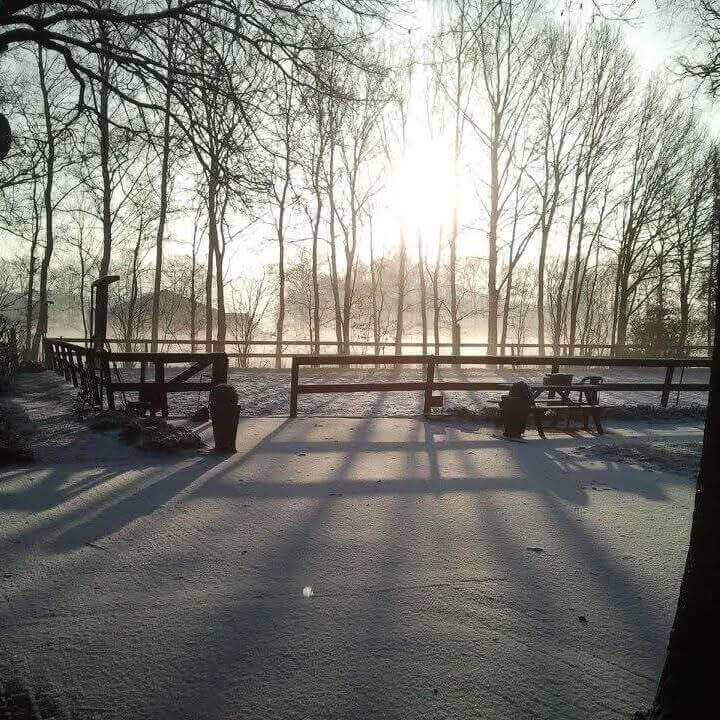 rijbak saskia coumans