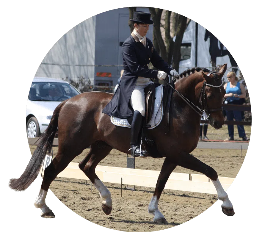 saskia coumans coach dressuurtraining